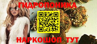 PSILOCYBIN Краснодар